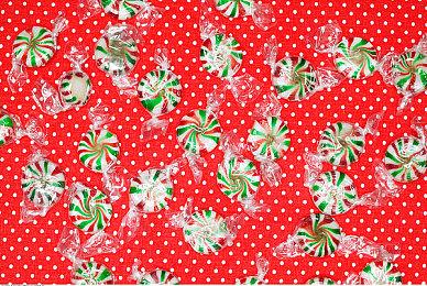 《EA SPORTS FC™ 24》公布 24 名评分最高男子与女子球员名单，拉开球员评分周序幕 