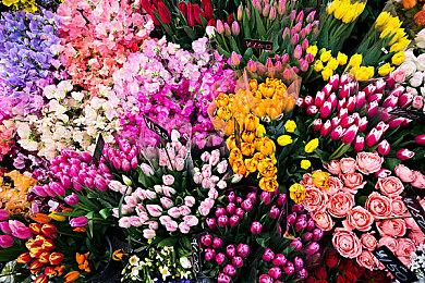 PS独占《漫威复仇者联盟》蜘蛛侠DLC公布宣传片